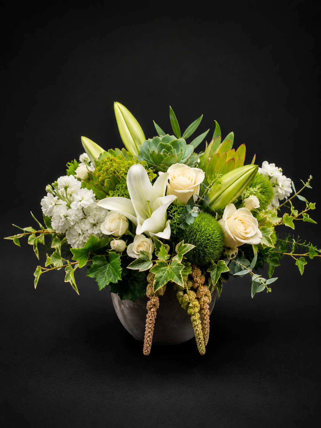 Ivory & Ivy